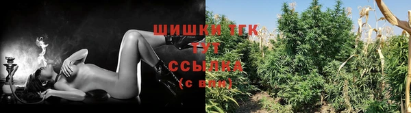 ПСИЛОЦИБИНОВЫЕ ГРИБЫ Орск