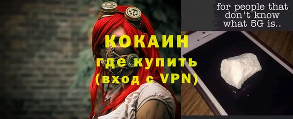 ешки Осинники
