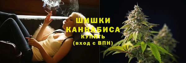 ешки Осинники