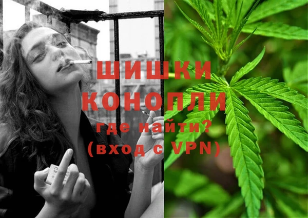 ешки Осинники