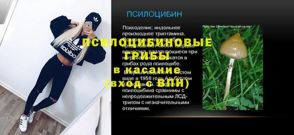 ешки Осинники